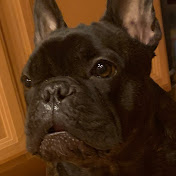 Profile Picture of Ian Wendel (@ianwendel2666) on Youtube