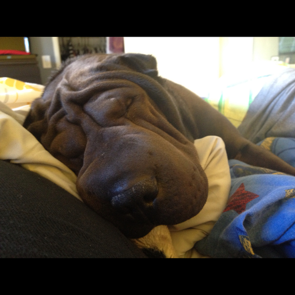 Profile Picture of Christina Skurzynski (@hbbabygirl19) on Poshmark