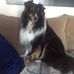 Profile Picture of Marcia Unruh (@marcia.unruh.3) on Facebook