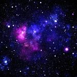 Profile Picture of Peter Nesci (@nesci.peter) on Instagram