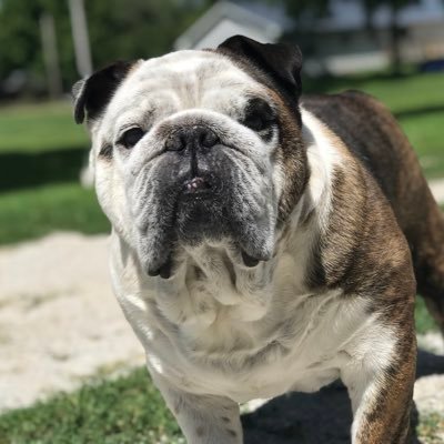 Profile Picture of Tucker (@KingTuckerC) on Twitter