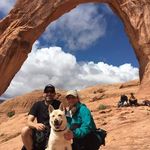 Profile Picture of Chris D Vestal (@chrisdvestal) on Instagram