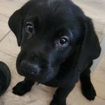 Profile Picture of Bradley Prior (@b.rad79) on Instagram