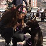 Profile Picture of Amanda Bergström (@amandasgymnastik) on Instagram