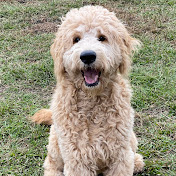 Profile Picture of Seth Reid (@sethmreid123) on Youtube