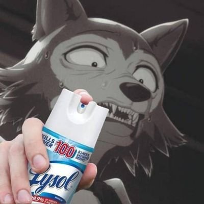 Profile Picture of (ᵔᴥᵔ)𝙻𝚎𝚐𝚘𝚜𝚑𝚒 𝚌𝚘𝚗 𝚕𝚊𝚢𝚜𝚘𝚕(ᵔᴥᵔ) (@alex_sunshine4) on Twitter