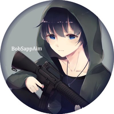 Profile Picture of BobSappAim (@BobSapp) on Twitter