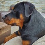 Julichka - Instagram Profile Picture of Julichka (@felgerjulia) on Instagram