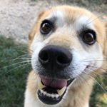 Davide Raschellà - Instagram Profile Picture of Davide Raschellà (@davide.rasche) on Instagram