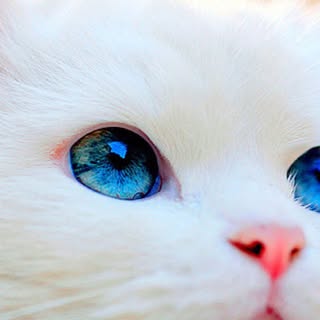 Profile Picture of mun (@mun_eun) on Instagram