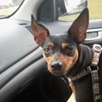 Profile Picture of Malia Mitchell (@malia.mitchell69) on Instagram