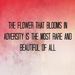 Profile Picture of Winnie Zeng (@bingzeng04) on Pinterest
