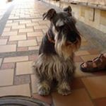 Profile Picture of Doris Suarez (@dorissuarez2012) on Instagram