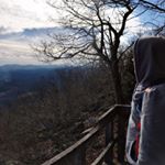 Profile Picture of Jordan Harrill (@steveoharrill) on Instagram