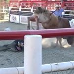 Profile Picture of Brad Fleet (@brad.fleet) on Instagram