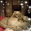 Profile Picture of Stacy Roush (@user949881180) on Tiktok