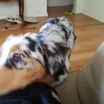 Profile Picture of jason booze (@jason.booze) on Instagram