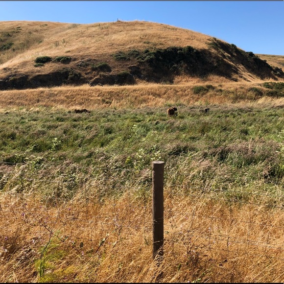 Profile Picture of Larissa Cravenho (@larissacravenho) on Poshmark