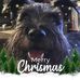 Profile Picture of Derek Barney (@derek.barney.79) on Facebook