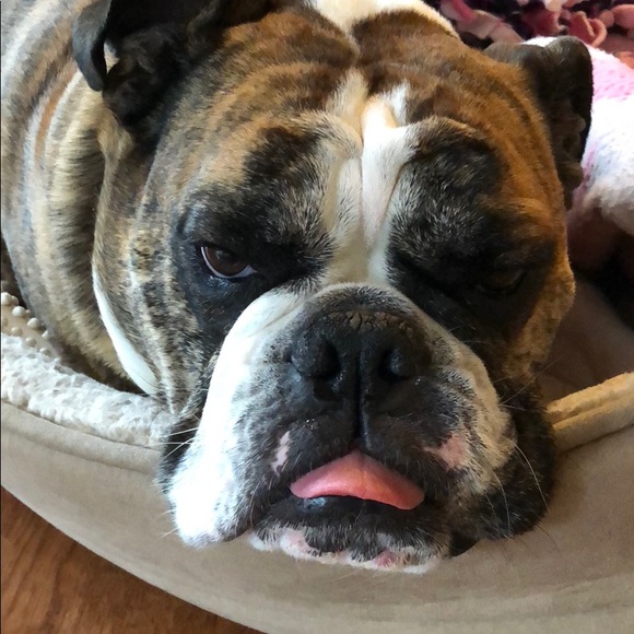 Profile Picture of Rebecca Jagemann (@rjagemann) on Poshmark