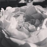 Profile Picture of Shareen Singh (@shareen.lata.96) on Instagram
