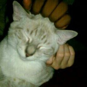 Profile Picture of Casey Causey (@comacausey09) on Pinterest