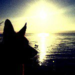 Profile Picture of Jeff Fiorino (@jefffiorino) on Instagram