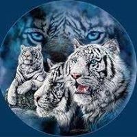 Profile Picture of Mark Boyd (@mark-boyd-63) on Quora