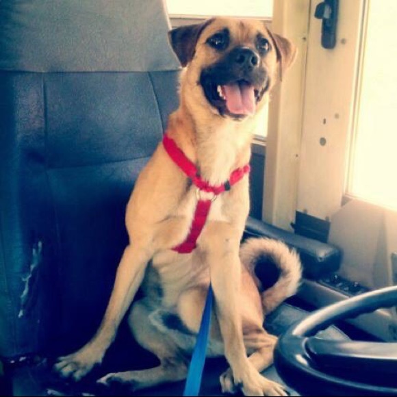 Profile Picture of Christian Damian (@ctgd2419) on Poshmark