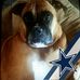 Profile Picture of Terry Adair (@terry.adair.752) on Facebook