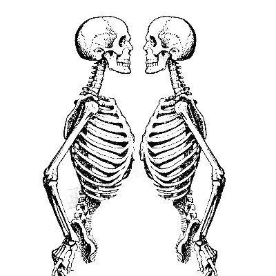 Profile Picture of michaelmcfaul (@michaelmcfaul) on Tiktok