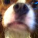 Profile Picture of Tim Warner (@tim.warner.18) on Facebook