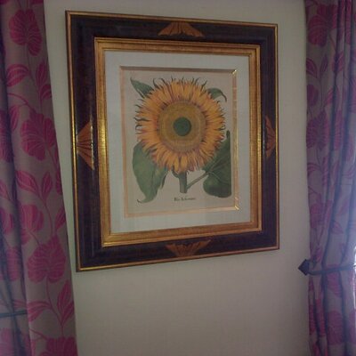 Profile Picture of Terry Godwin (@Toby_69003) on Twitter