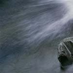 Profile Picture of Phyllis_Randall (@phyllis_randallo) on Instagram