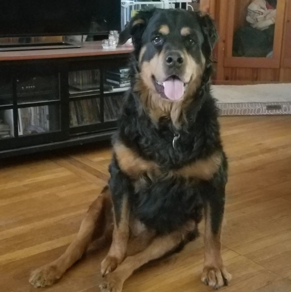 Profile Picture of Ryan Simons (@ryans04) on Poshmark