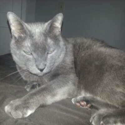 Profile Picture of Eric Chizzo (@Milo3637) on Twitter