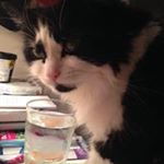 Profile Picture of Jenny Morrissey (@morrisseyjenny) on Instagram