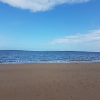 Profile Picture of Matt Orton (@mrmattorton) on Twitter