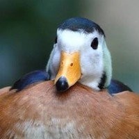 Profile Picture of Douglas Larson  (@douglas-larson-29) on Quora