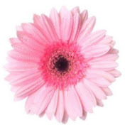 Profile Picture of Tanya Cadena (@tanyacadena2063) on Youtube