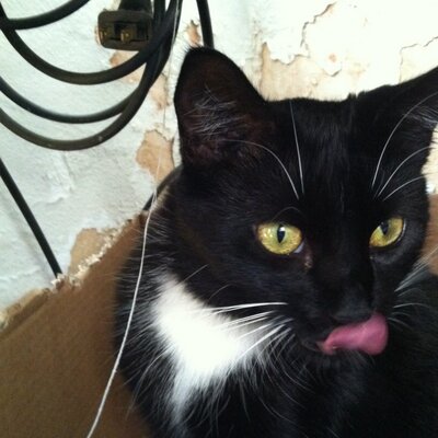 Profile Picture of Kristen (@k_schell24) on Twitter