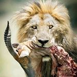 Profile Picture of John Turck and Brian Moreno (@path.pavers) on Instagram