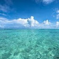 Profile Picture of Lloyd Wolfe (@lloyd-wolfe-9) on Quora