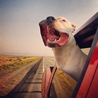 Profile Picture of Jeremy Barclay (@barclay1537) on Pinterest