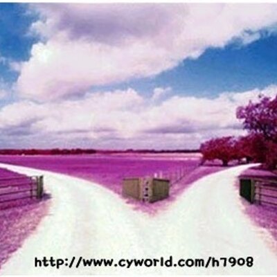 Joshua Noh - Twitter Profile Picture of Joshua Noh (@bin2min2) on Twitter