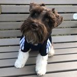 Profile Picture of Milo Sanchez (@little_milo_s) on Instagram