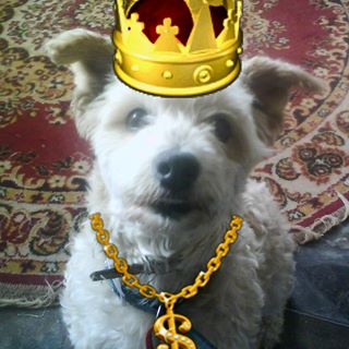 Profile Picture of Toby Beard (@toby.beard.739) on Facebook
