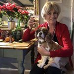 Profile Picture of Adam Lucy (@adamlucy78) on Instagram