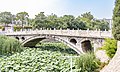 Profile Picture of Yongtong Bridgeon Wikipedia