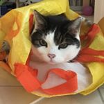 Kim Baumberger - Instagram Profile Picture of Kim Baumberger (@kimbaumberger) on Instagram